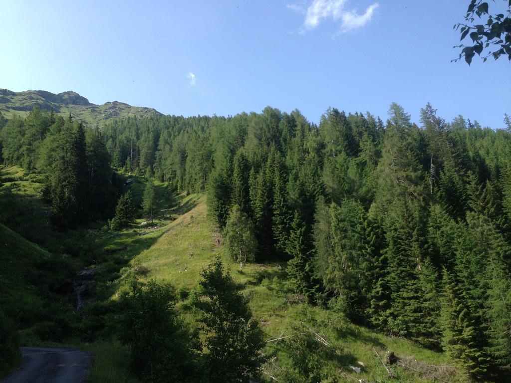 Alpenhotel Badmeister Flattach Bagian luar foto